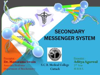 Secondary Messenger System