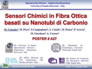 Sensori Chimici in Fibra Ottica basati su Nanotubi di Carbonio