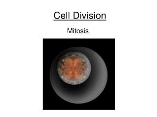 Cell Division