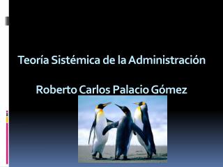 Teoría Sistémica de la Administración Roberto Carlos Palacio Gómez