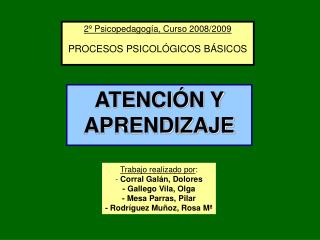 2º Psicopedagogía, Curso 2008/2009 PROCESOS PSICOLÓGICOS BÁSICOS