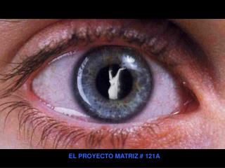 EL PROYECTO MATRIZ # 121A