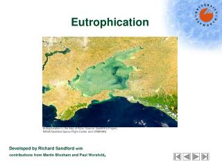 Eutrophication