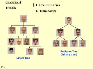 CHAPTER 4 TREES