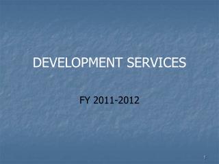 DEVELOPMENT SERVICES