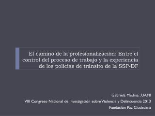 Gabriela Medina , UAMI VIII Congreso Nacional de Investigación sobre Violencia y Delincuencia 2013