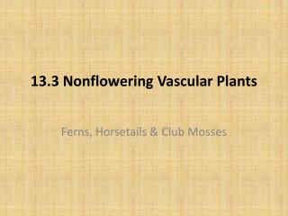 13.3 Nonflowering Vascular Plants