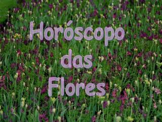 Horóscopo das Flores