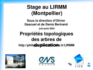 Stage au LIRMM (Montpellier)