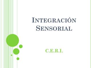 Integración Sensorial