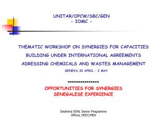 THEMATIC WORKSHOP ON SYNERGIES FOR CAPACITIES BUILDING UNDER INTERNATIONAL AGREEMENTS