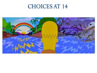 Choices at 14