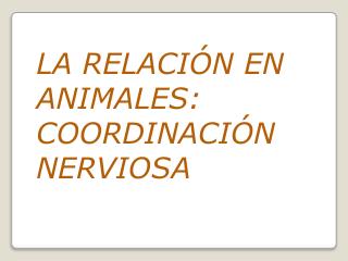 LA RELACIÓN EN ANIMALES: COORDINACIÓN NERVIOSA