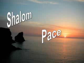 Shalom