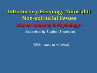 Introductory Histology Tutorial II Non-epithelial tissues