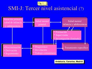 SMI-J: Tercer nivel asistencial (?)