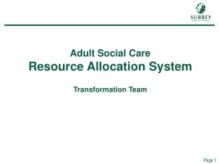 Adult Social Care Resource Allocation System Transformation Team