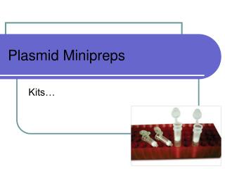 Plasmid Minipreps