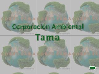 Corporación Ambiental Tama