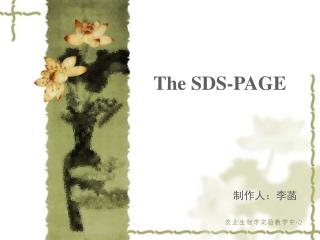 The SDS-PAGE