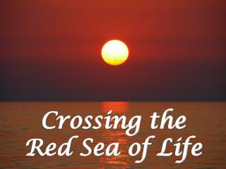 Crossing the Red Sea of Life