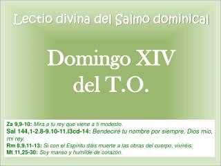 Lectio divina del Salmo dominical Domingo XIV del T.O.