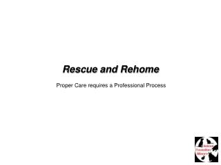 Rescue and Rehome