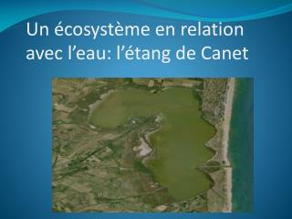 Un écosystème en relation avec l’eau: l’étang de Canet