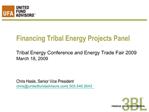 Financing Tribal Energy Projects Panel Tribal Energy Conference and Energy Trade Fair 2009 March 18, 2009 Chris Hasl