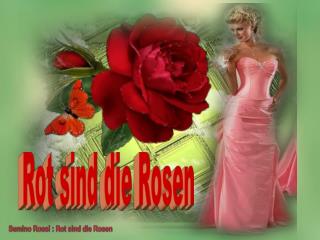 Rot sind die Rosen