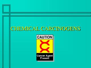 CHEMICAL CARCINOGENS