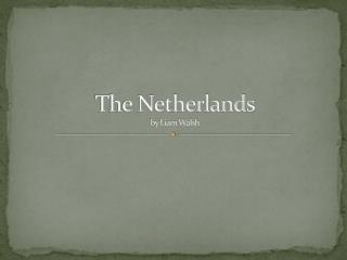 The Netherlands by Liam Walsh