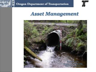 Asset Management