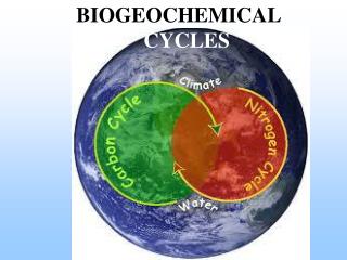 BIOGEOCHEMICAL CYCLES