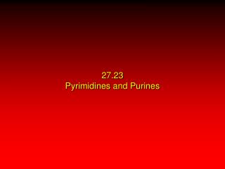 27.23 Pyrimidines and Purines