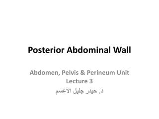 Posterior Abdominal Wall