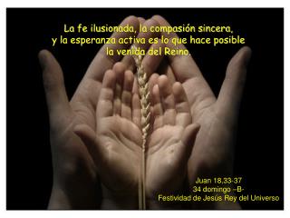 Juan 18,33-37 34 domingo –B- Festividad de Jesús Rey del Universo