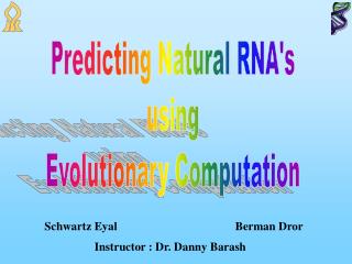Predicting Natural RNA's using Evolutionary Computation