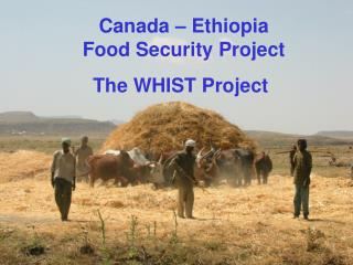 Canada – Ethiopia Food Security Project