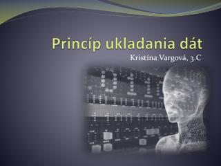 Princíp ukladania dát