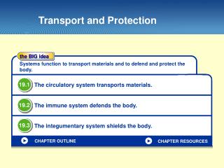Transport and Protection
