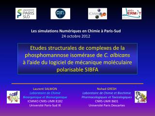 Laurent SALMON Laboratoire de Chimie Bioorganique et Bioinorganique ICMMO CNRS-UMR 8182