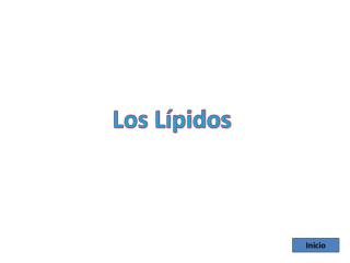 Los Lípidos