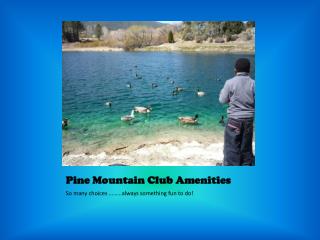 Pine Mountain Club Amenities
