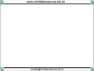 Qual dos dois é o verdadeiro monstro?
