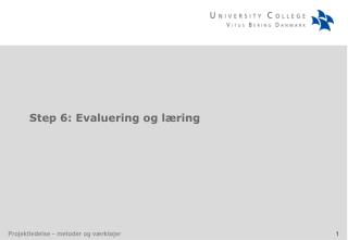 Step 6: Evaluering og læring