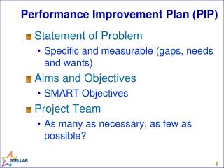 Performance Improvement Plan (PIP)