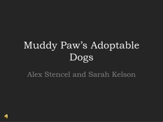 Muddy Paw’s Adoptable Dogs