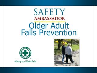 Older Adult Falls Prevention