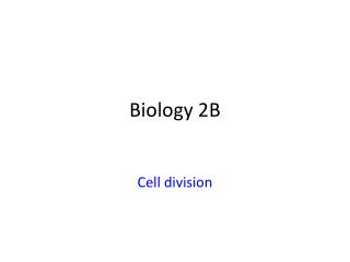 Biology 2B